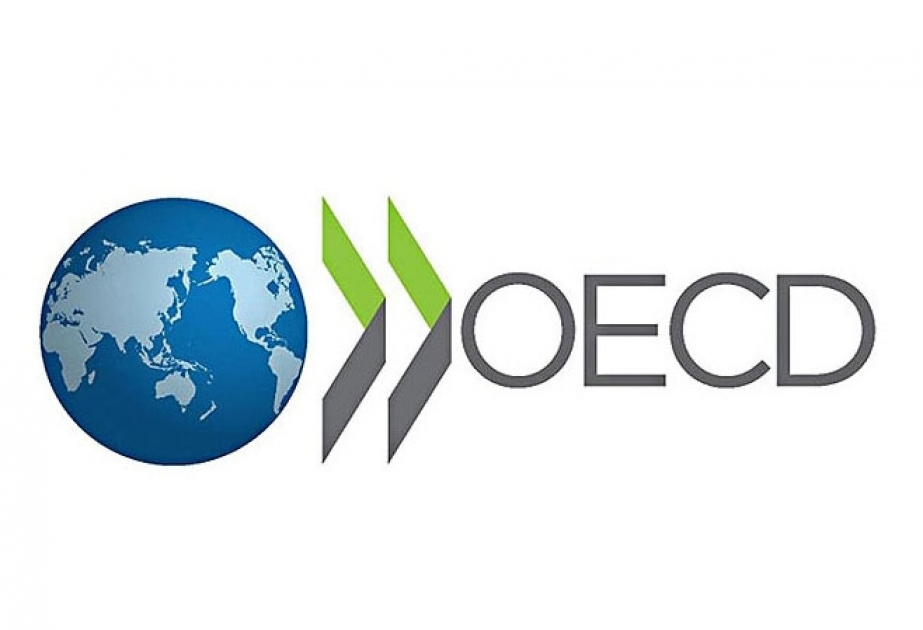 Indonesia’s Ambition to Join the OECD